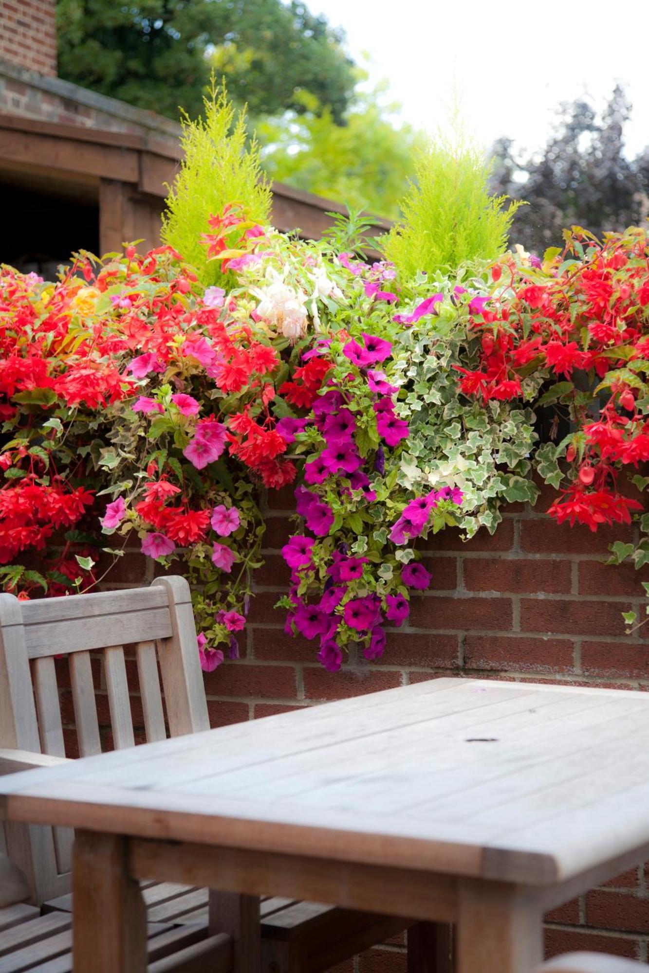 The Alexander Pope Hotel Twickenham Luaran gambar
